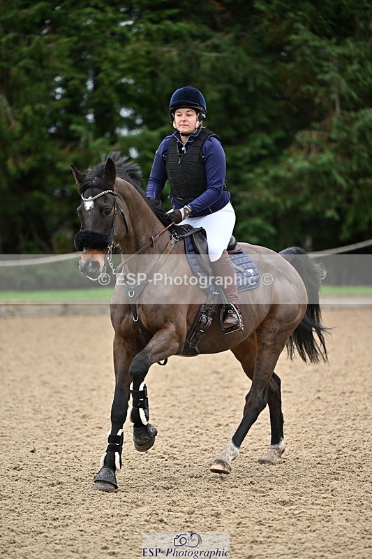 250201A-102721-00230 - Cls 01 Local Horse 90cm