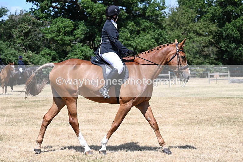 WJ7_2921 - Class 7 Riding Club Show Horse
