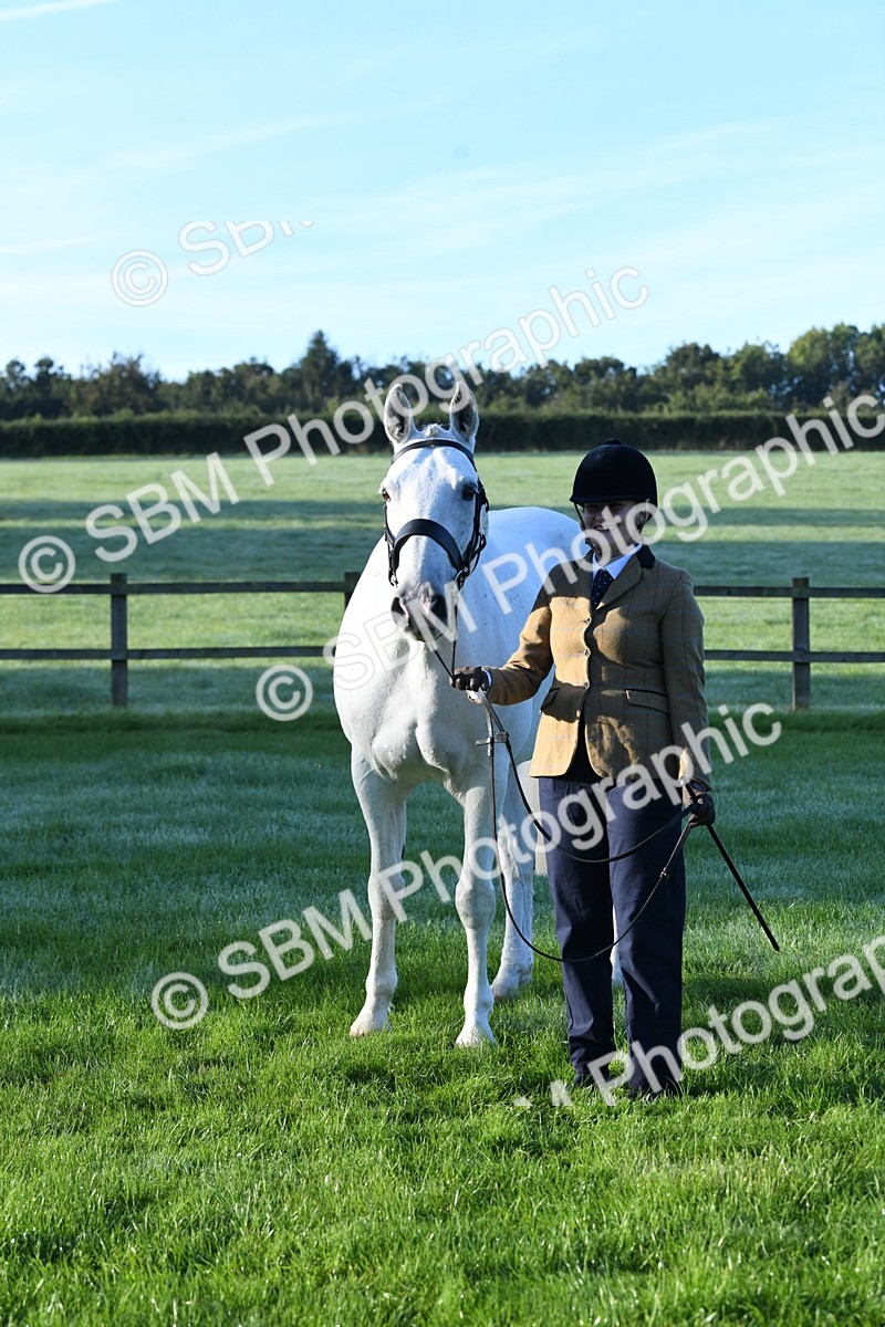 SBM_32673 - S15 - Condition & Turnout In Hand