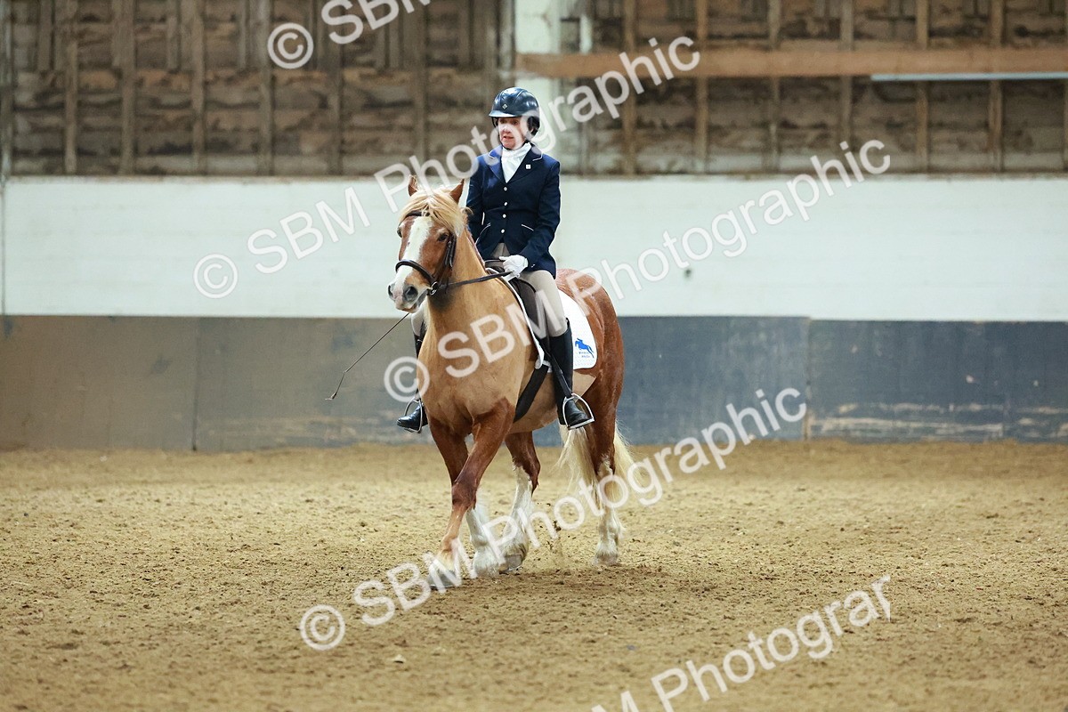SBM_003634 - Novice 2