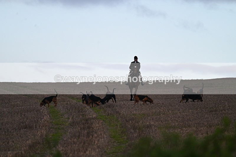 WJ7_9803 - Camera 1 & Last fence