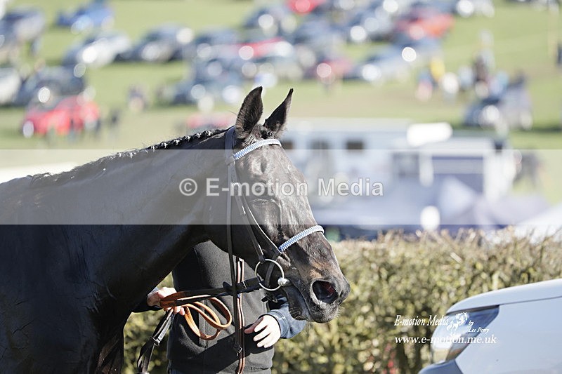 PtP 100423 1182 - Old Berkshire Point-to-Point Lockinge 10/04/23