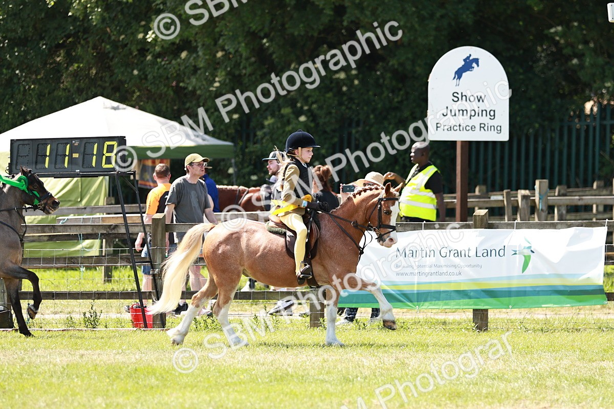 SBM_13674 - Class 108-109 - BSPS LIHS Open Gradle & Nursery Stakes