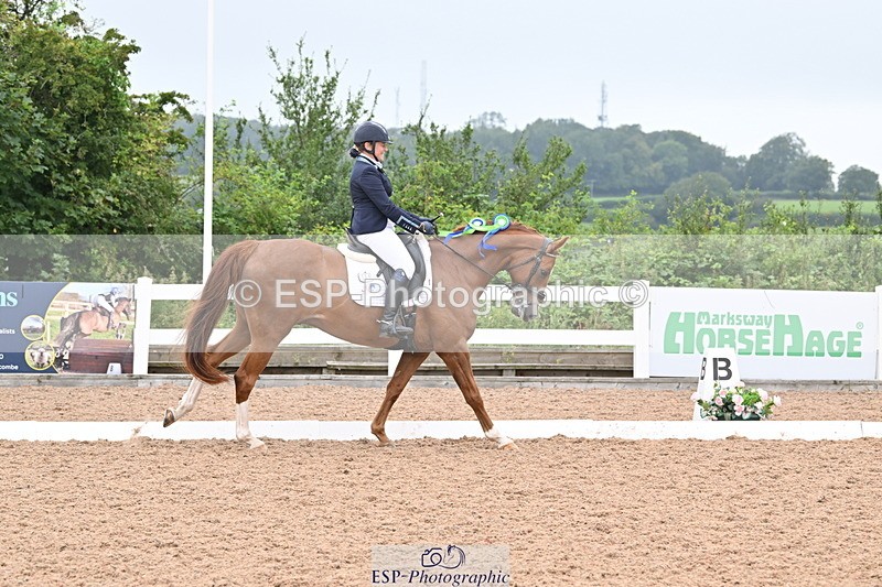 240815A-131719-01335 - Cls 2-P Adv Medium Silver