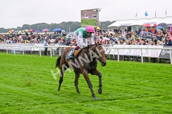 080924-Race 1-Windlord-8812 - Race 1 1.40pm British European Breeders Fund Novice Stakes