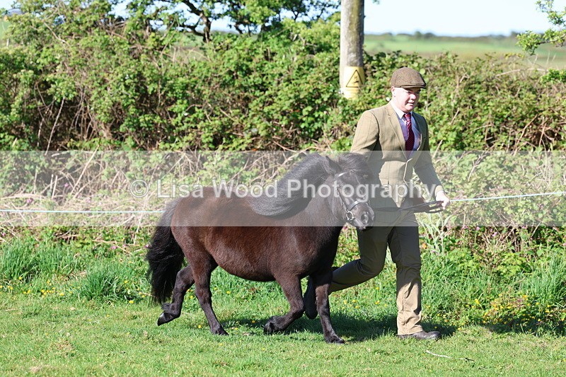 3E7A8338 - Class 12: M & M Small Breeds