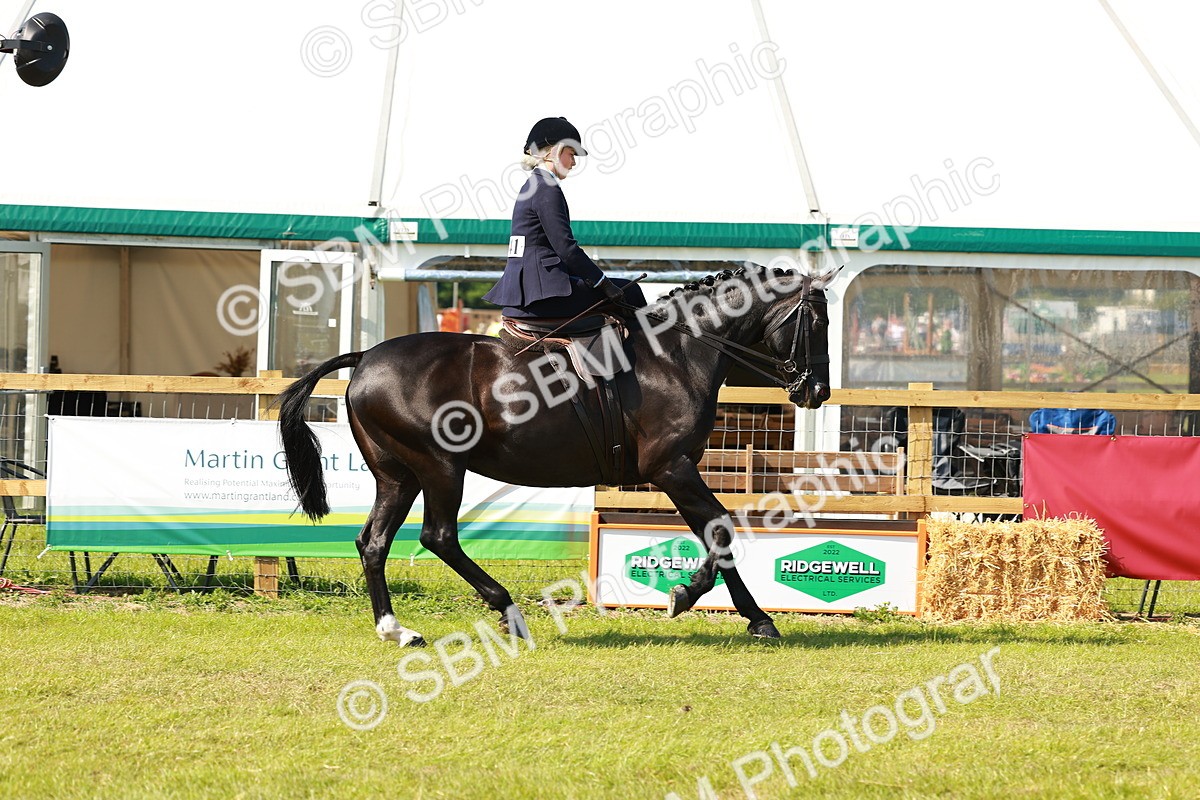 SBM_13140 - Class 70-71 - Side Saddle