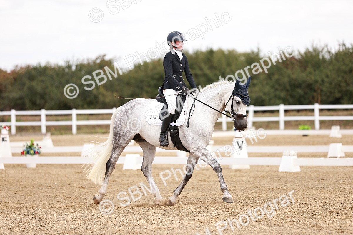 SBM_018011 - Class 15 - Prelim 6