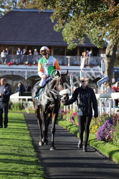 yr08102022r7-48 - Race 7 5.00pm The Coral Gets You Closer To The Action Stakes