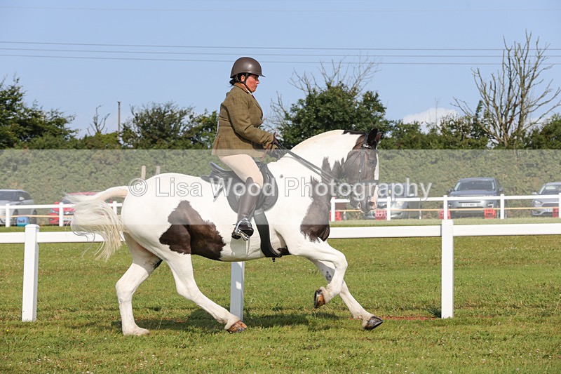 1X9A3235 - Class 28: Ridden Native/Trad Coloured Pony