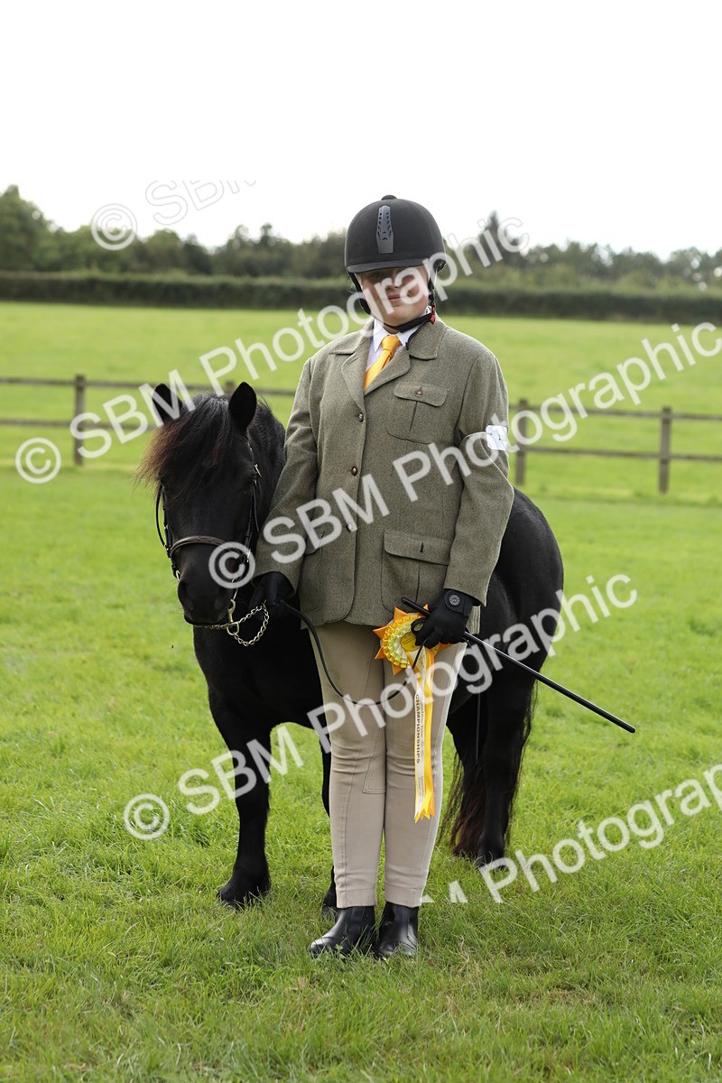 SBM_62868 - S46 - Mountain & Moorland In Hand Small Breeds
