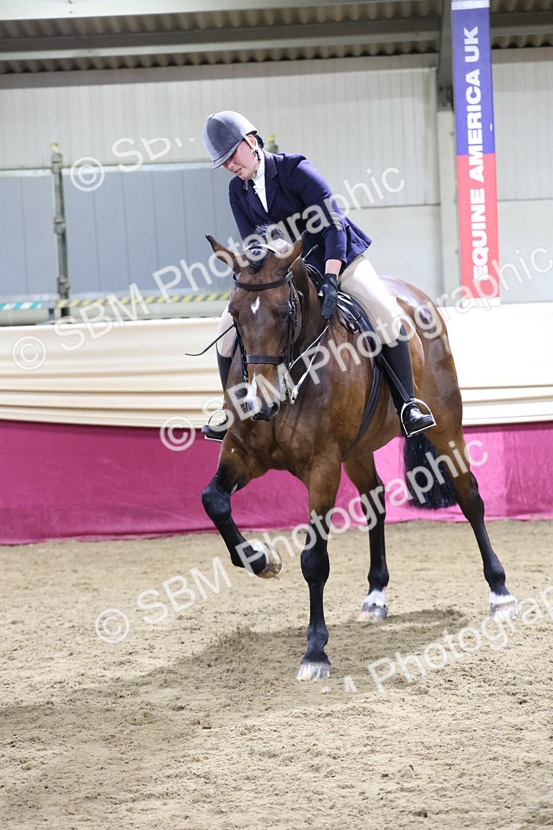 SBM_21189 - class Q - Ridden Horse Champ