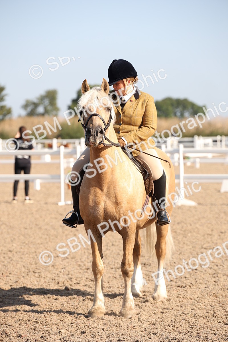 SBM_00743 - Class 14 Ridden M&M Wildcard