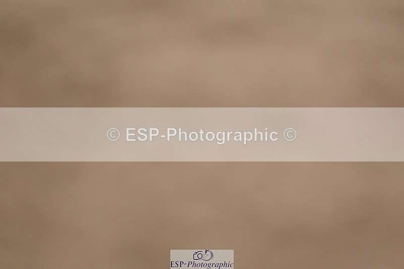 240323A-122230-01782 - DR Prelim 18