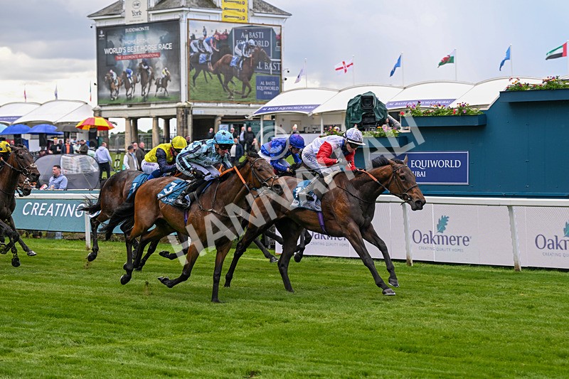 140526-Race 3-Maybe Not-4906 - Race 3 2.55pm Oakmere Homes Hambleton Handicap