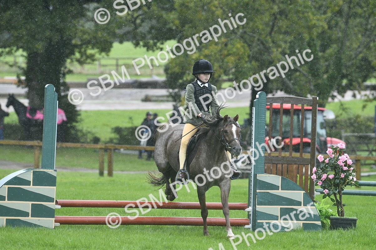 SBM_37135 - S31 - Novice & Newcomer Working Hunter Pony