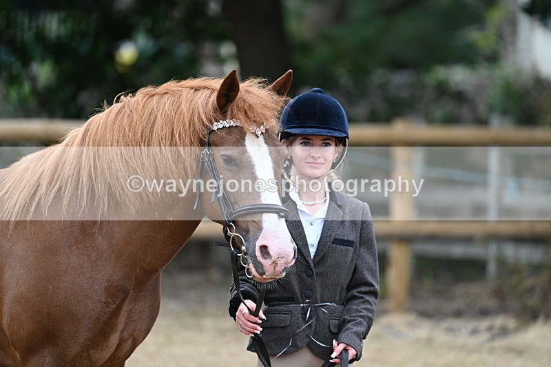 WJ7_8217 - Class 4 Prettiest Mare up to 14.2hh