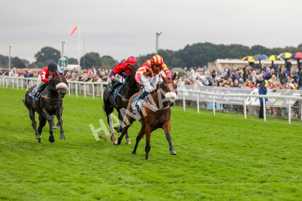 080924-Race 6-Northern Spirit-4564 - Race 6 4.35pm Hanson Springs Handicap