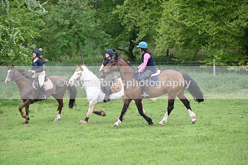 WJ6_3121 - A camera