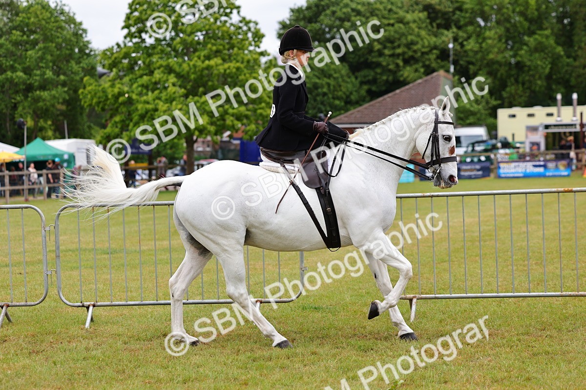 SBM_02873 - Class 9-11 Side Saddle including LIHS Rising Star Ladies Show Horse