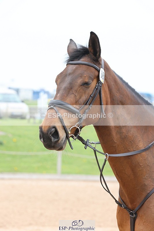 250424-173008-07572 - Cls 53 Veteran - Mini Tour