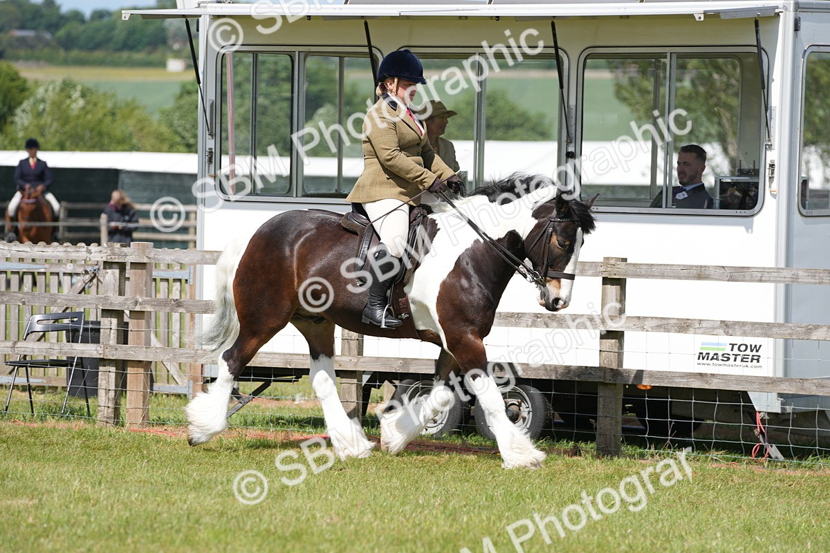SBM_17091 - Class 107-108 - LIHS BSPS Performance Coloured Horse Pony