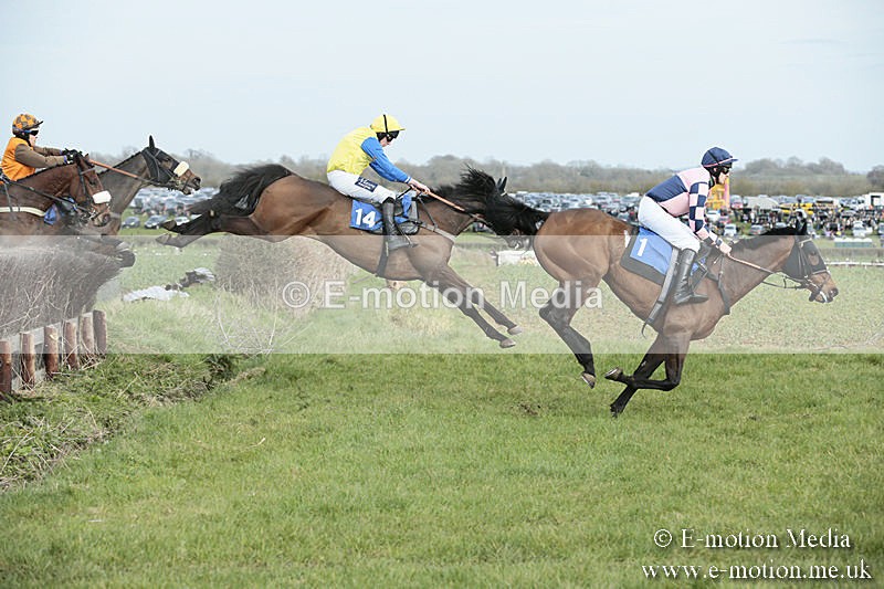 PtP 230319 299 - VWH Hunt Siddington Point-to-Point Racing 23/03/19