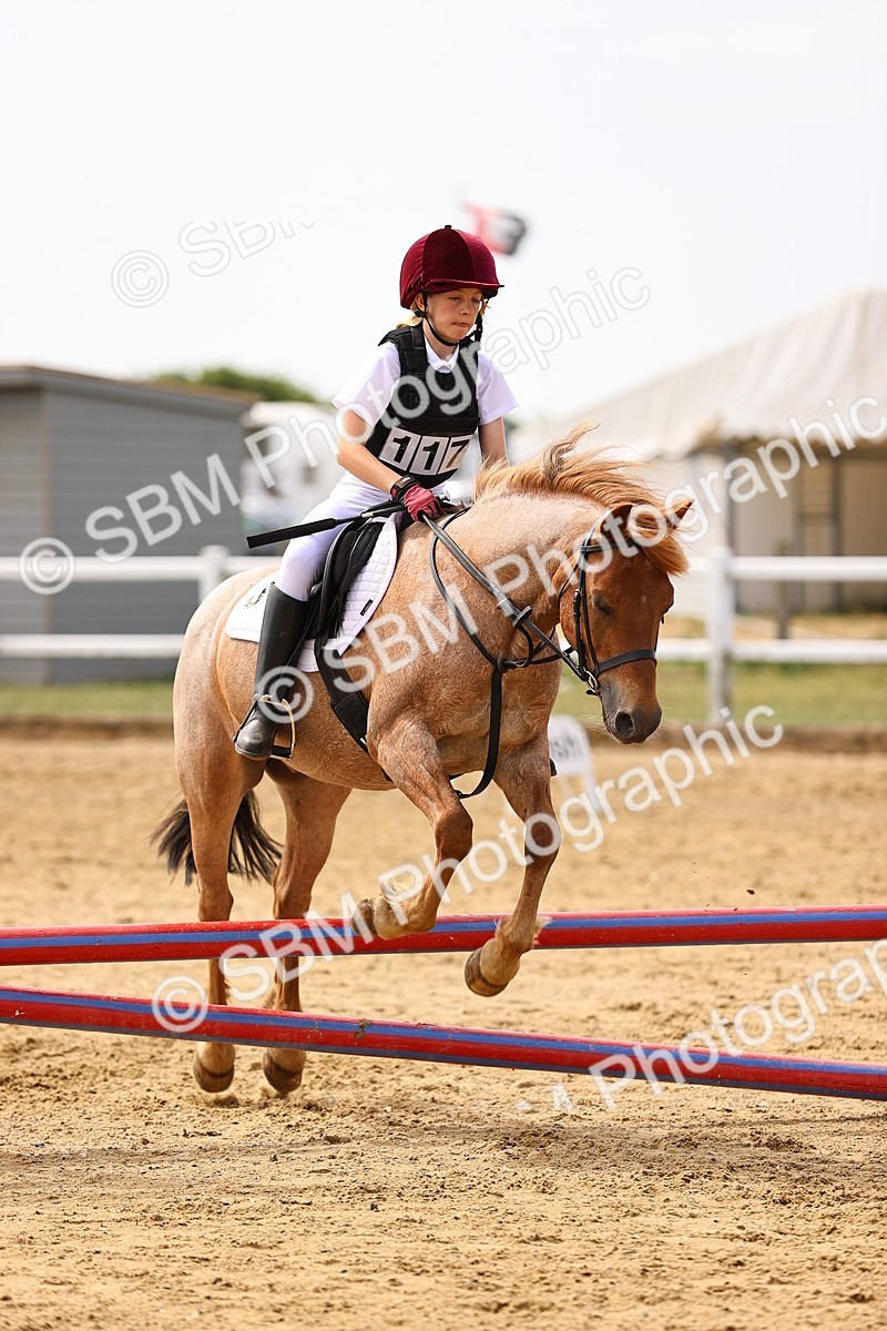 SBM_001654 - Class 2 - 50cm