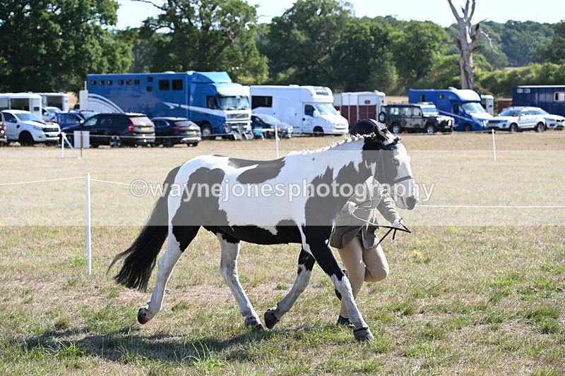 WJ6_7507 - Class 34 Judges Choice