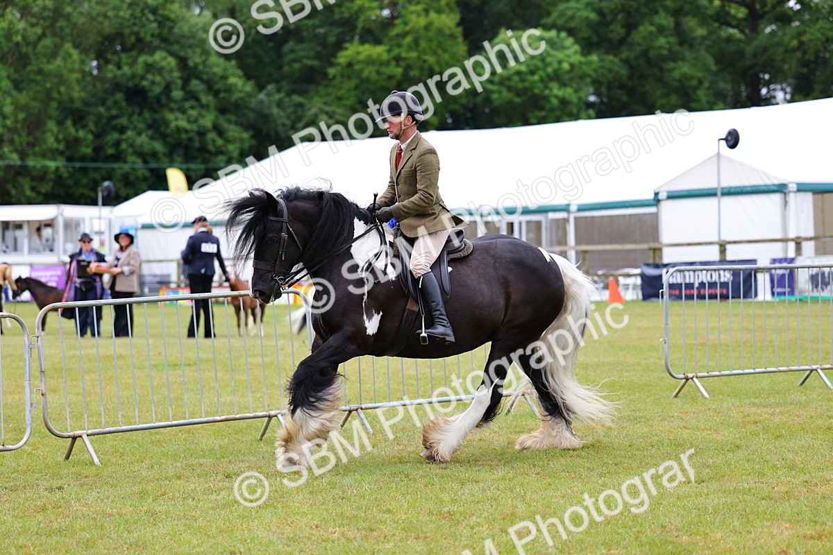 SBM_02641 - Class 9-11 Side Saddle including LIHS Rising Star Ladies Show Horse