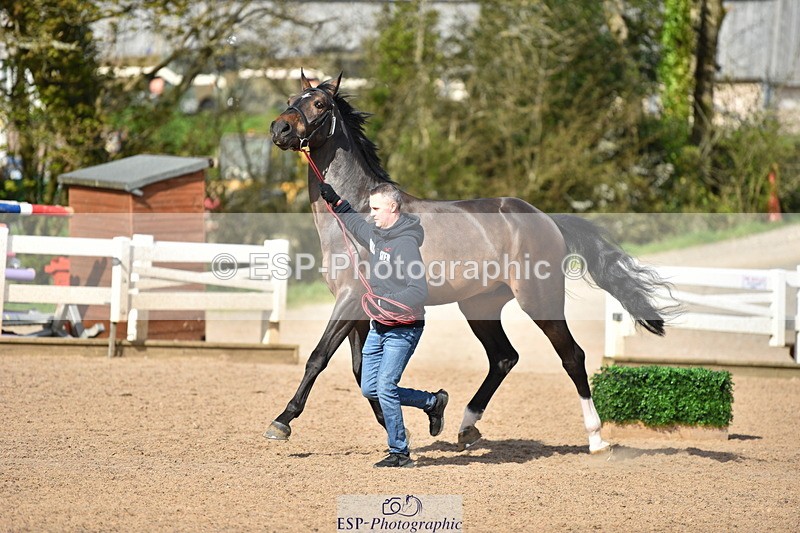 240417A-162342-01193 - 4pm to Finish