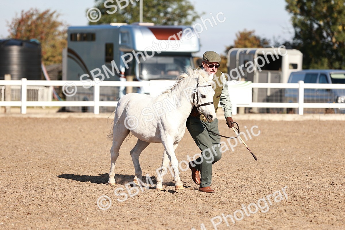 SBM_11430 - Class 402 - IH  Veteran pony