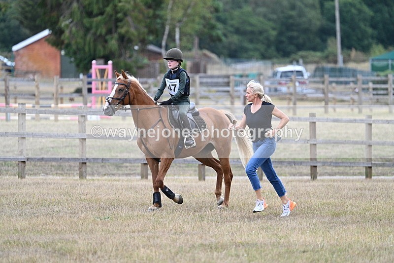 WJ7_1654 - 60cm Time 13:20 to 14:27