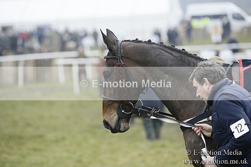 PtP 020418 -78 - Old Berks Point-to-Point Races Easter Monday 02/04/18