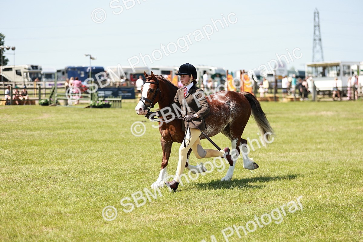 SBM_15563 - Class 108-109 - BSPS LIHS Open Gradle & Nursery Stakes