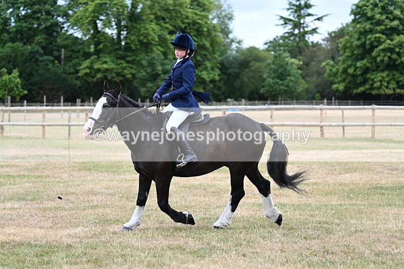 WJ7_0351 - Class 2 Best rider