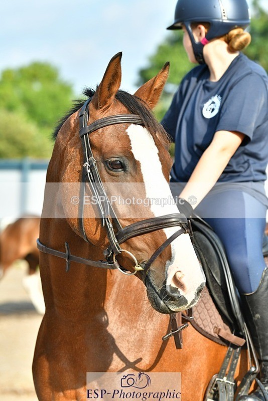 230817-083525-02423 - Stable Shots