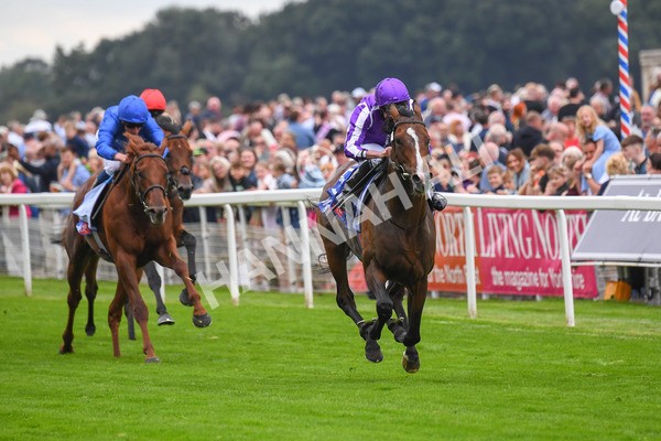 230823-Race 3-Continuous-0451 - Race 3 3.00pm Sky Bet Great Voltigeur Stakes