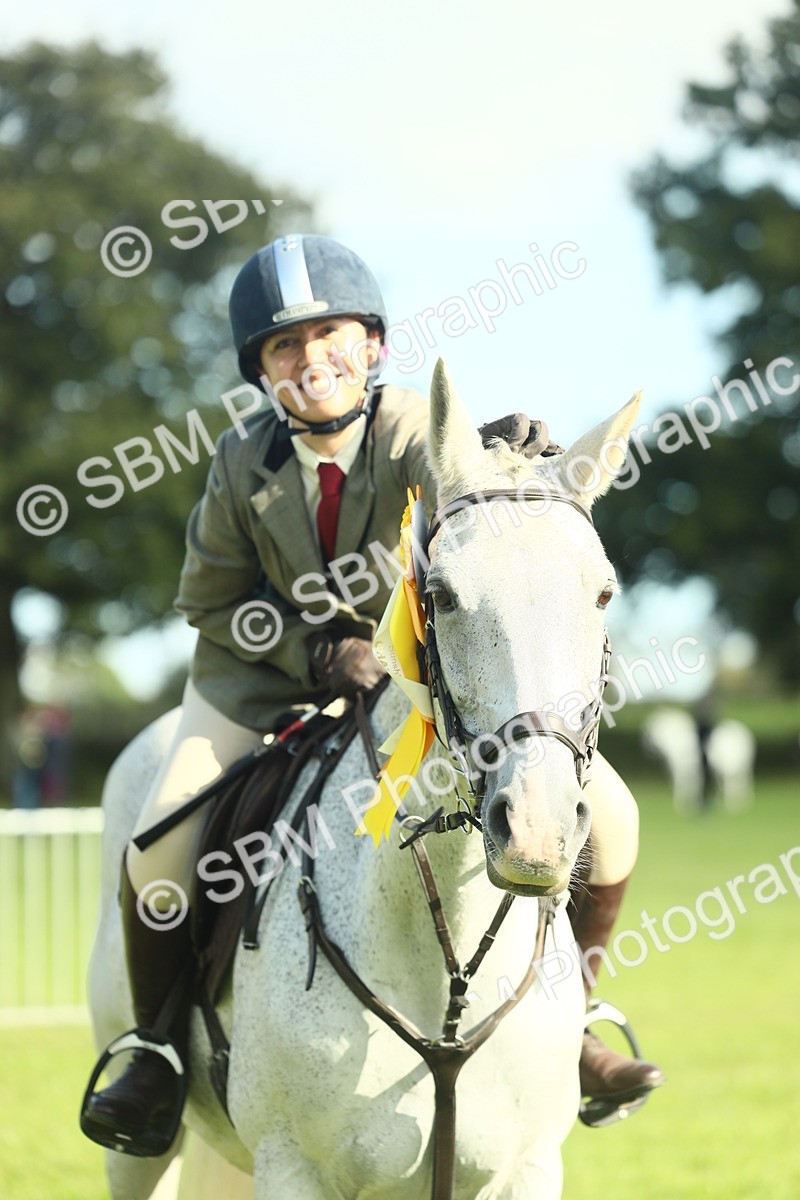 SBM_49928 - S32 - Novice & Newcomers Working Hunter