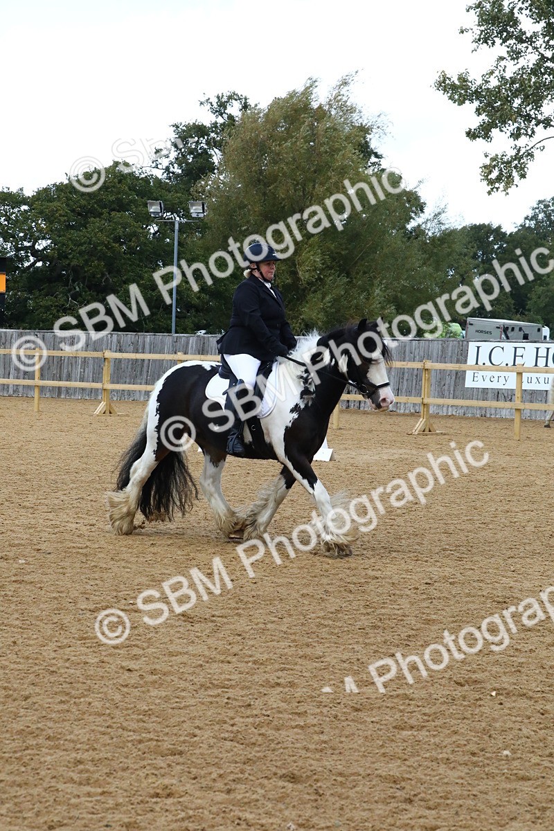 SBM_21028 - D5 - Small Tour Championshop Intro 2