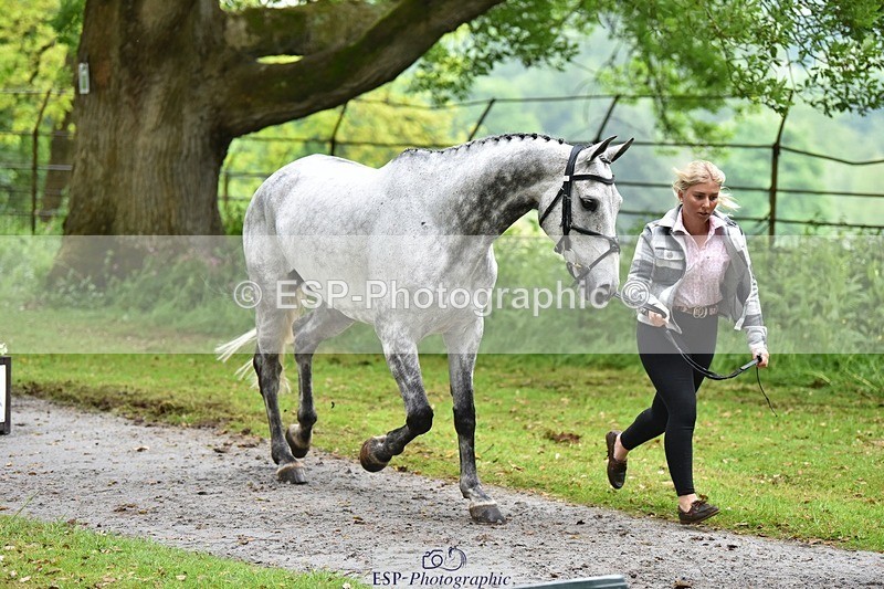 240522-165226-01219 - 226-CLONSHIRE_ON_TREND-Heidi_Coy