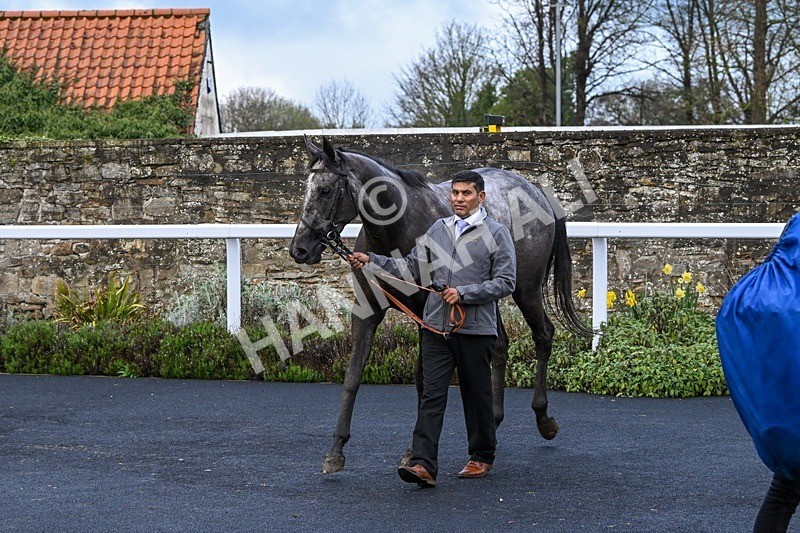  - Race 6