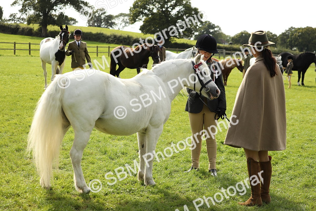 SBM_68678 - S40 - Junior Handler 9-12 Years