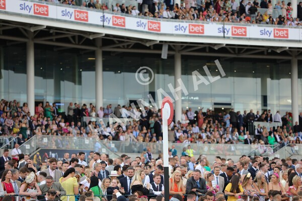 yr23072022r7-12 - Race 7 5.35pm Sky Bet Paying Extra Places Stakes