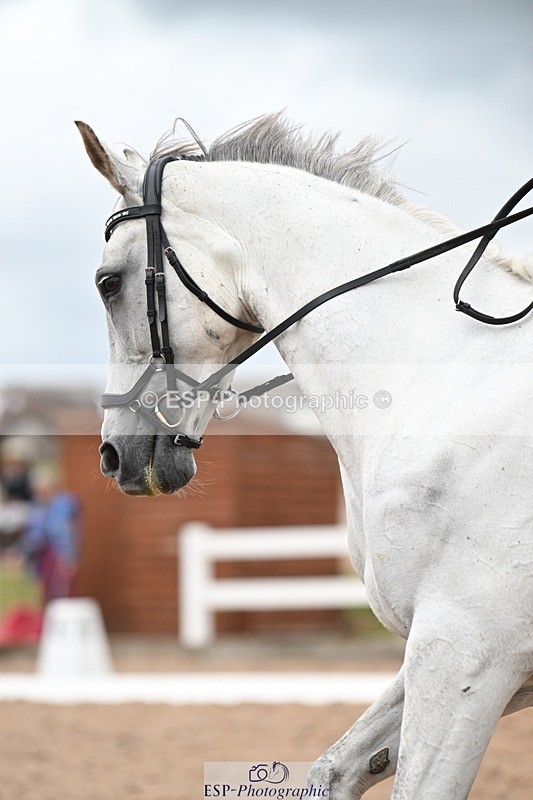 250705-175532-03094 - N3 Section BDNOV3 15.55 to 17.19