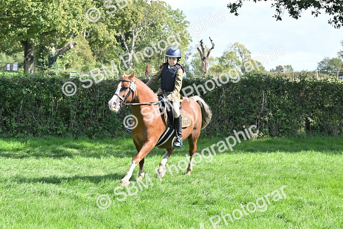 SBM_44524 - S13 - Pony Club Pony