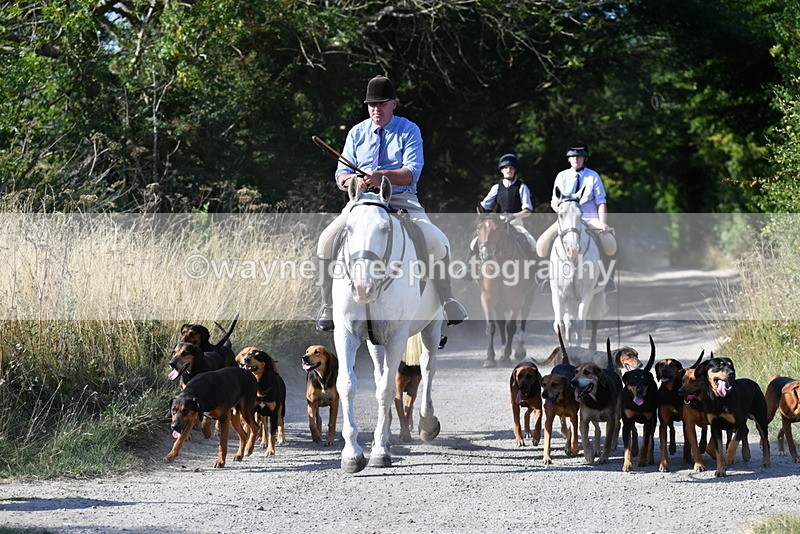WJ5_4806 - Walk out with the hounds