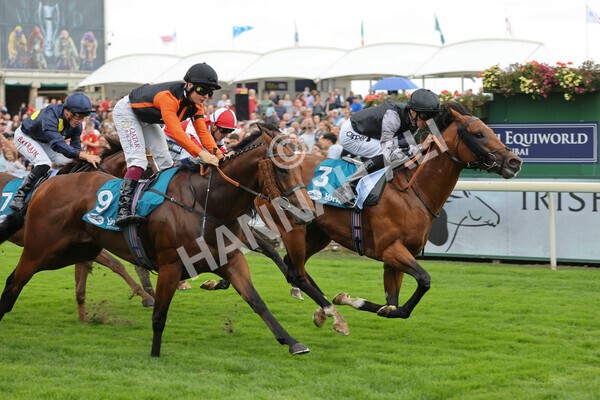 yr04092022r2-32 - Race 2 2.20pm John and Judith Marshall Memorial Stakes