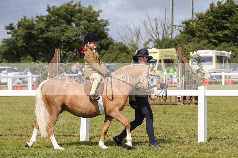 1X9A3552 - Class 29: Lead Rein SP/SHP