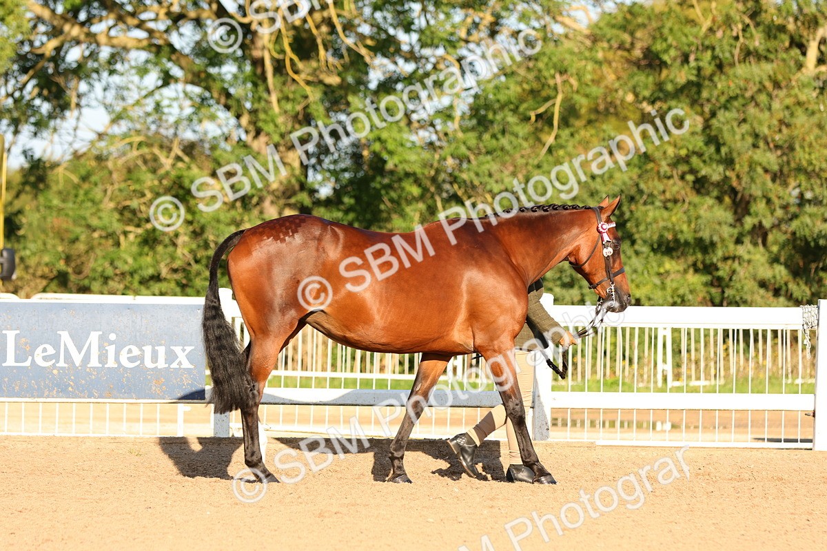 SBM_07954 - Class 201 - Best Turned Out - IH